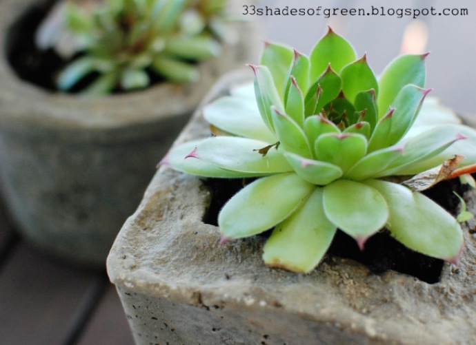 11 Cute Indoor Planter DIY Ideas | Artificial stone planter pots | A Visual Merriment Round Up